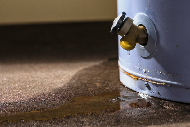 Best Flood restoration services  in Mount Carmel, TN