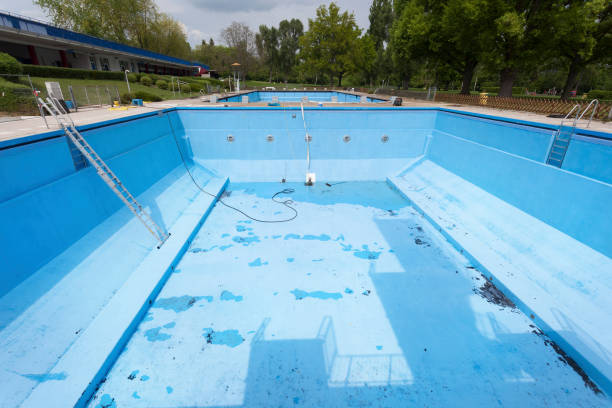Best Flooded house restoration  in Mount Carmel, TN