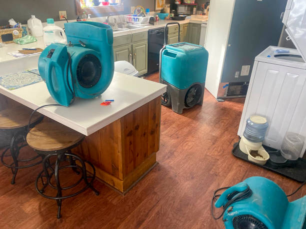  Mount Carmel, TN Water damage restoration Pros