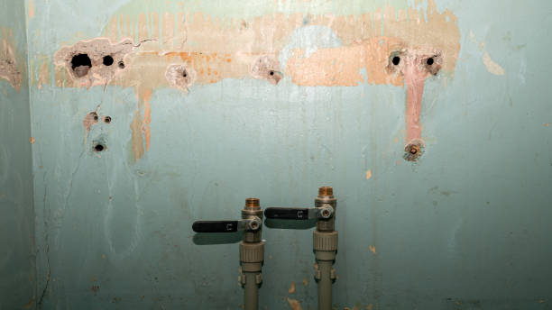 Best Professional water damage repair  in Mount Carmel, TN