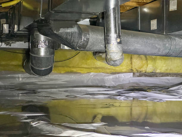 Best Carpet water damage restoration  in Mount Carmel, TN