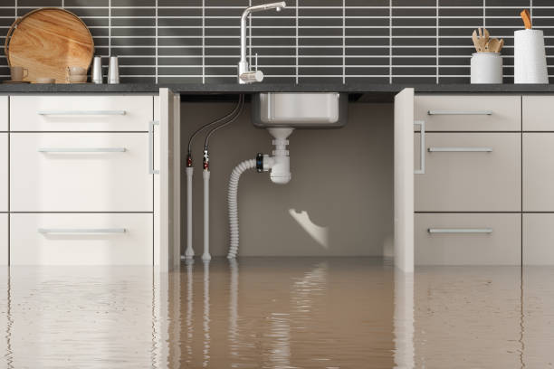 Best Water damage restoration specialists  in Mount Carmel, TN